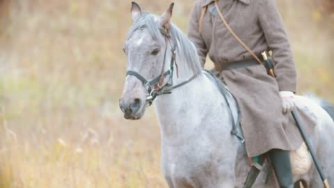 Soldier riding on the back of the white horse on the field