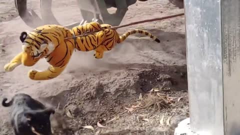 Fake Tiger Prank Dog Run Try To Stop Laugh Challenge