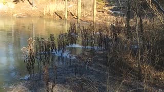 skipping stones at 22°