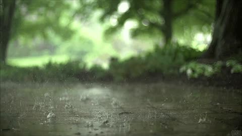 Relaxing Rain