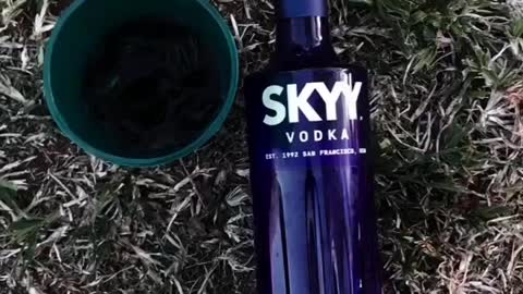 Sky vodka