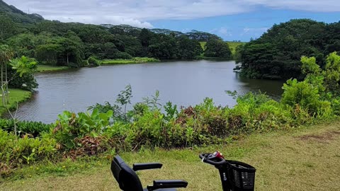 Hoomaluhia Botanical Garden Hawaii Nature Escape.