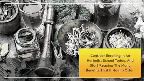 Herbalist Schools