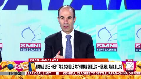 Hamas uses hospitals, schools as 'human shields' —Israeli Amb. Fluss