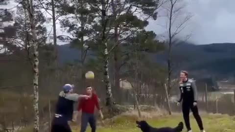 Cãozinho jogando futebol