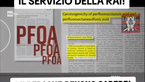 SANGUE AVVELENATO NEL VENETO DI ZAIA