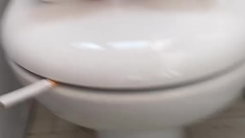 Smoking toilet