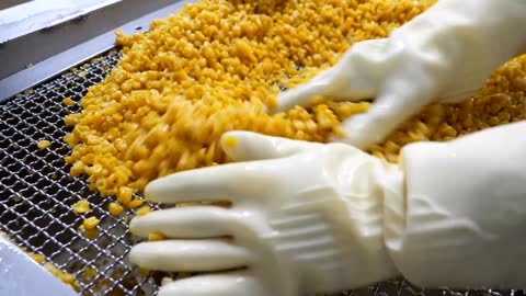 Amazing! Sweet corn ice cream process machine / Korea Ice Cream Factory