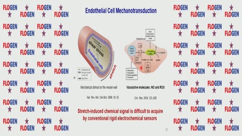 Prof. Wei hua Huang @ FLOGEN SIPS 2022 Yoshikawa Intl. Symposium on Oxidative Stress