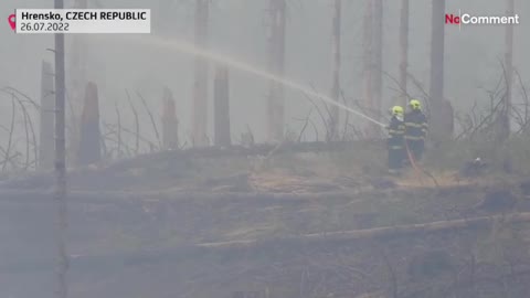 Fires in France, Czechia and Germany