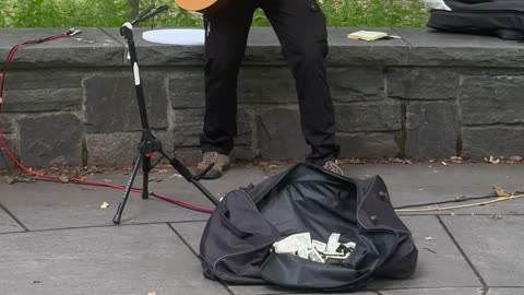 She Loves You - Beatles Cover - Central Park - NYC