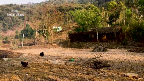 Beautiful Country Life In Nepal