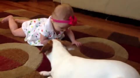 Dog teaching baby to crawl