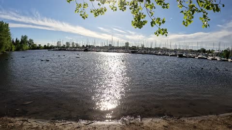 ⛵ Sailboat Club & Crystal Beach Park In Ottawa ⛱️