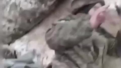 Ukrainian Troops Taken Prisoner