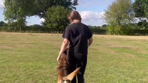 Dog eating food|| #doglover #cutedog