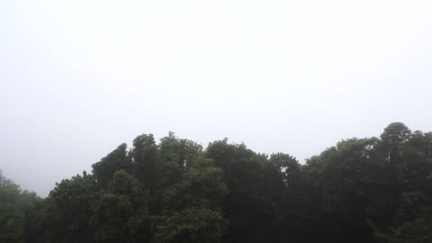 Sleeping in a forest hut in the rain. Сон в лесной хижине во время дождя