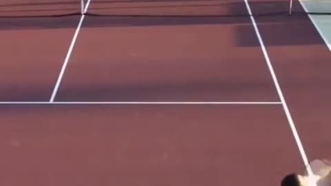 Whatdoyoucallthisshot#tennis#collegetennis#trickshot