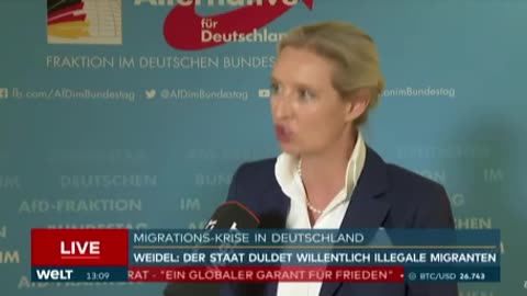 Weidel für Remigration