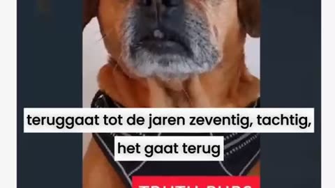 NL ondertiteld Truth Pups 28-6-2024