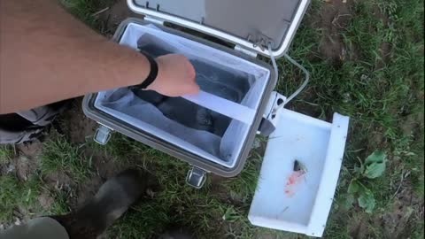 TWO FLATHEADS, One Night! SURPRISE! James River CATFISHING