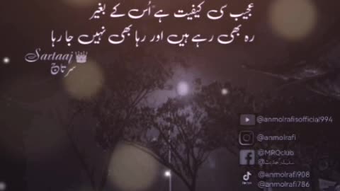 Humy pucho kya hota hy || Poetry || Song || Status || Ghazal || سرتاج || Original ||