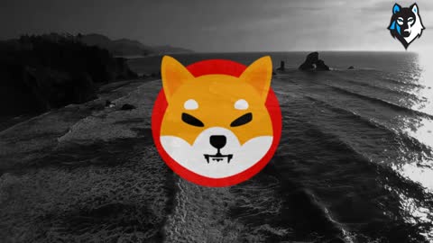 GREAT NEWS for Shiba Inu Hodlers. Vitalik burns $6.7Bn of SHIBA