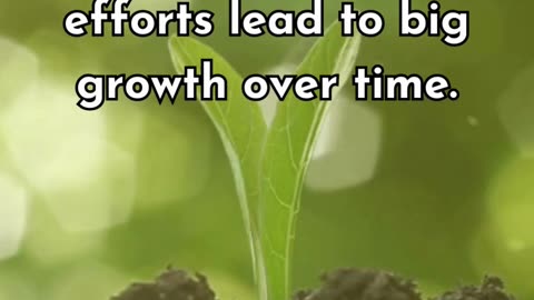 Tiny seeds of effort today can grow into forests of success. Keep planting.🌱➡🌳 #growth #letslife