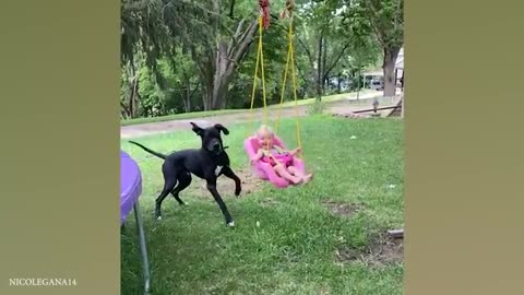 When Your Dog And Baby Are The Best Of Friends