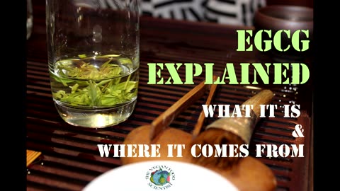 EGCG explained -in Dr. Zelenko's and Dr. McCullough's detox supplements