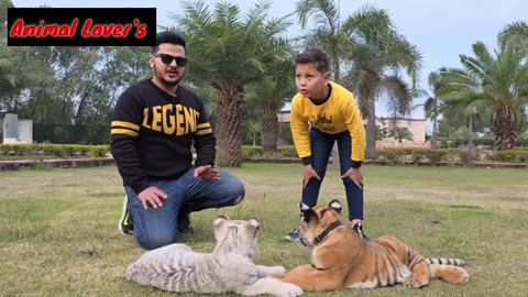 Little Tigers GOT Their Names | Tigers ka Naam Rakh Lia