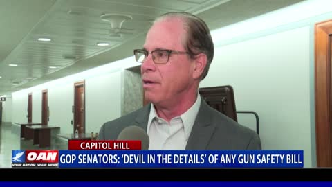 GOP Senators: 'Devil in the Details' of Any Gun Safety Bill