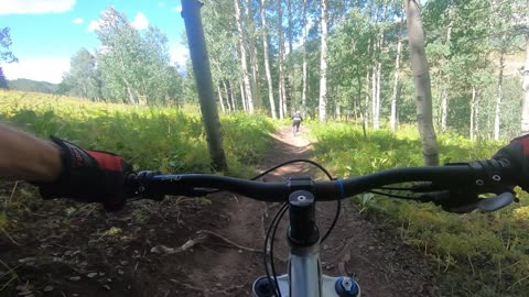 Downhill Biking – Mountain Biking - Crested Butte – Wood’s Trail - 08-18-2024