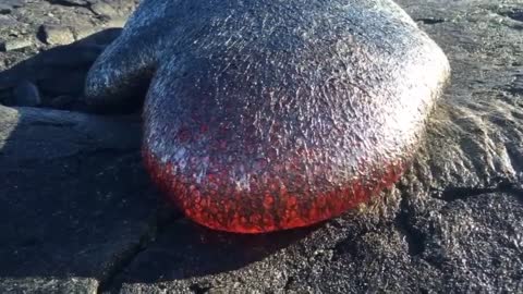 Big Island Flow Highlights Epic Lava in Hawaii Volcanos National Park_2