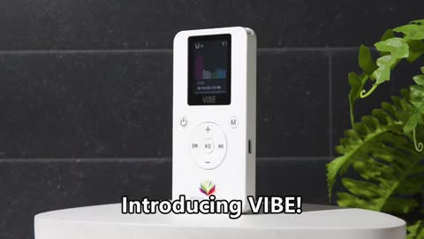 Introducing VIBE