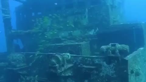 A tour of a shipwreck especially for my subscribers.