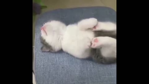 no one can disturb such a cute sleep