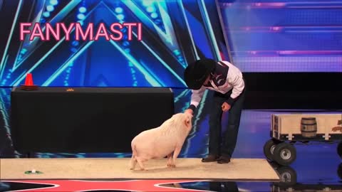 WILDEST ANIMAL Moments & Auditions On Got Talent! | Top Talent Pig🐖