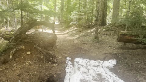 Bridge Crossing on 13-Mile Timothy Lake Loop – Mount Hood – Oregon – 4K