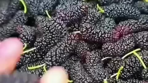 Amazing fruit🍍🍎🍓🍇 cutting skills, red bananas