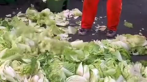 Fresh cabbage as food waste to meet targets