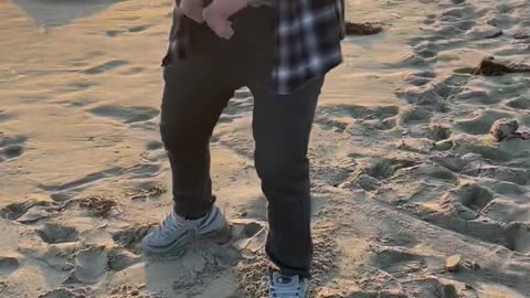 Excited Dog Ruins Baby's Beach Photo