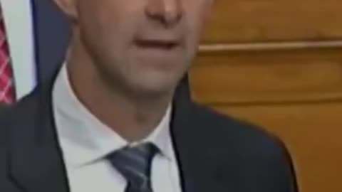 Sen. Tom Cotton Asked Gen. Milly "why haven't you resigned"?