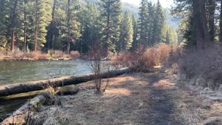 Incredible Metolius River Wonderland – Central Oregon