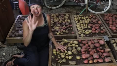 Growing Potatoes over the Winter_ The Results!