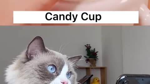 Candy Cup