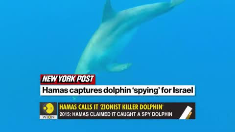 Gravitas: Hamas claims 'Killer Zionist Dolphin' killed their commando