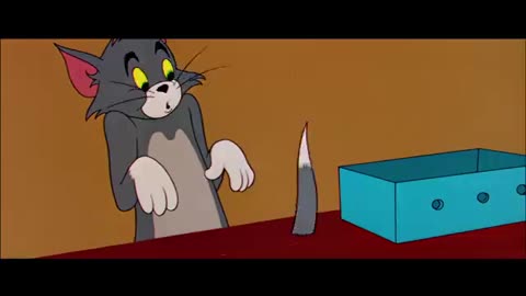 The Tom and Jerry funny moments