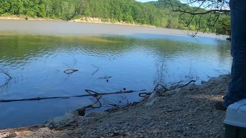 Bluegill, crappie, Harassed by a snake and a broke down truck