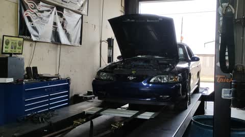 1998 4V Mustang Dyno Pull